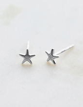 Load image into Gallery viewer, Starfish Stud Earring | 2 colours