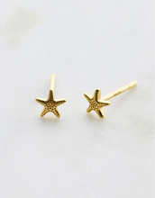 Load image into Gallery viewer, Starfish Stud Earring | 2 colours