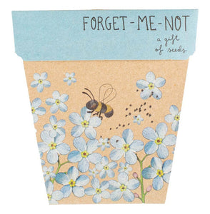 Gift of Seeds | Forget-Me-Not 