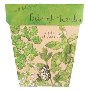 Gift of Seeds | Trio of Herbs