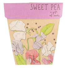 Load image into Gallery viewer, Gift of Seeds | Sweet Pea
