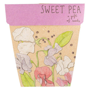 Gift of Seeds | Sweet Pea