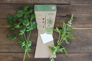 Gift of Seeds | Trio of Herbs