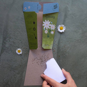 Gift of Seeds | Daisy