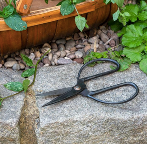 Gardeners Scissors