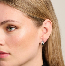 Load image into Gallery viewer, Celine Earrings | 2 colours
