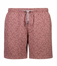 Load image into Gallery viewer, Mens Swim Shorts | St. Barts
