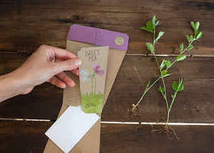 Gift of Seeds | Sweet Pea