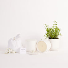 Load image into Gallery viewer, Botanical Candle | Coconut &amp; Lemongrass
