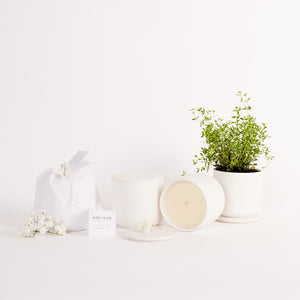 Botanical Candle | Calming Blend