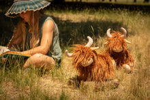 Load image into Gallery viewer, Heidi the Highland Cow
